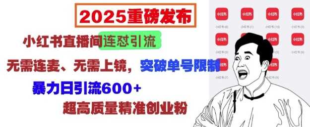 2025重磅发布：小红书直播间连怼引流，无需连麦、无需上镜，突破单号限制，暴力日引流600+-蓝天项目网