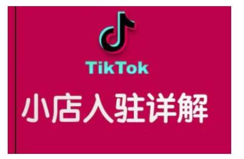 TikTok跨境小店运营全攻略，帮助你独立运营TK跨境小店的能力，实现销量增长-蓝天项目网