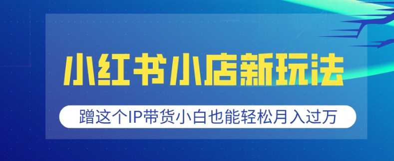 小红书小店新玩法，蹭这个IP带货，小白也能轻松月入过W【揭秘】-蓝天项目网