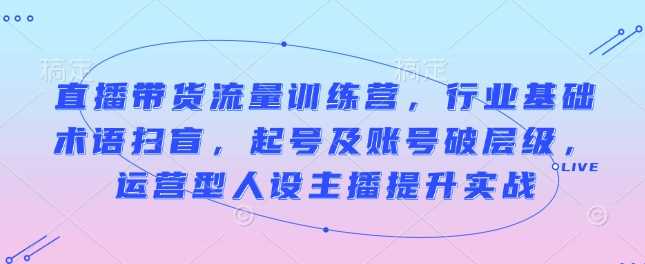 直播带货流量训练营，行业基础术语扫盲，起号及账号破层级，运营型人设主播提升实战-蓝天项目网