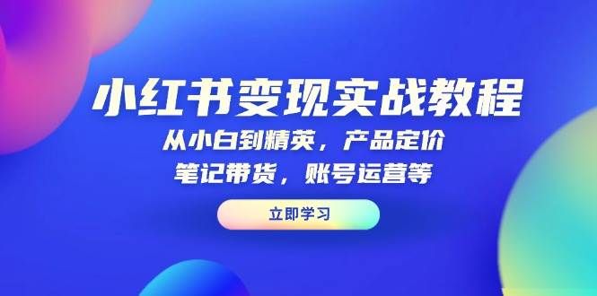 （13923期）小红书变现实战教程：从小白到精英，产品定价，笔记带货，账号运营等-蓝天项目网