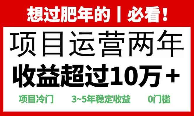 （13952期）2025快递站回收玩法：收益超过10万+，项目冷门，0门槛-蓝天项目网