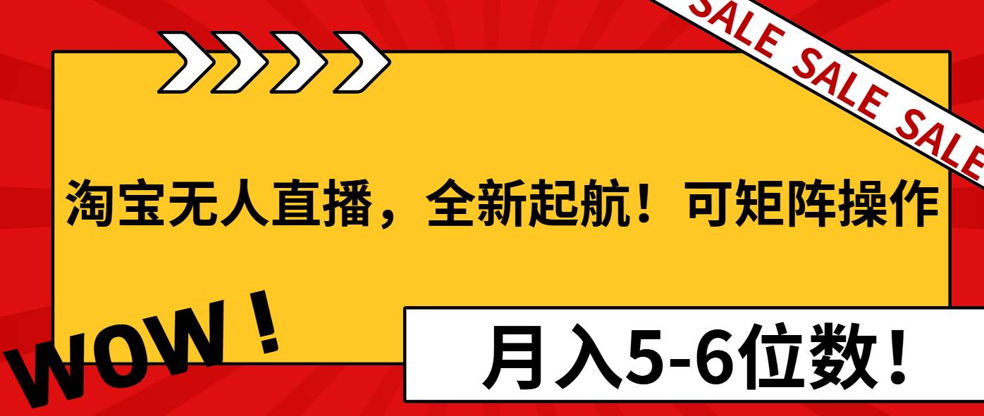 （13946期）淘宝无人直播，全新起航！可矩阵操作，月入5-6位数！-蓝天项目网