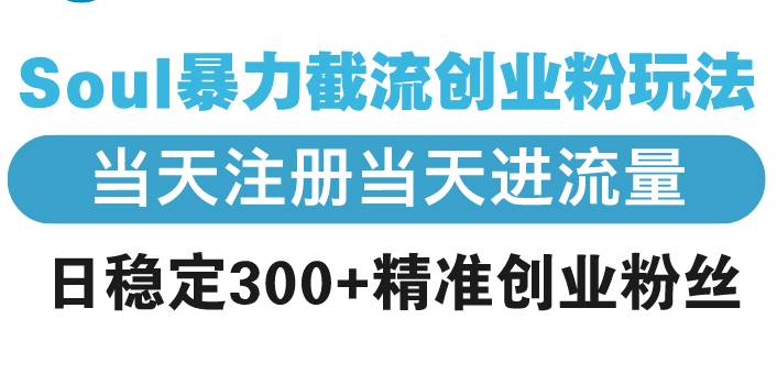 （13935期）Soul暴力截流创业粉玩法，当天注册当天进流量，日稳定300+精准创业粉丝-蓝天项目网