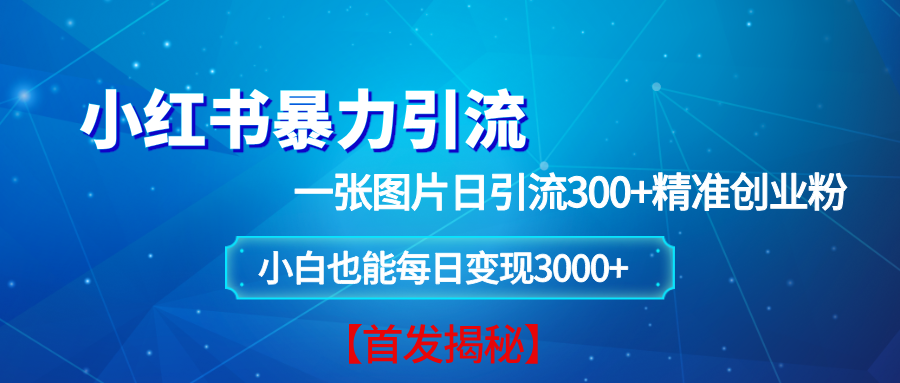 （13935期）小红书暴力引流法，一张图片日引 300+精准创业粉，每日稳定变现 3000+【揭秘】-蓝天项目网