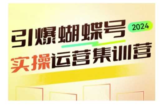 引爆蝴蝶号实操运营，助力你深度掌握蝴蝶号运营，实现高效实操，开启流量变现之路-蓝天项目网