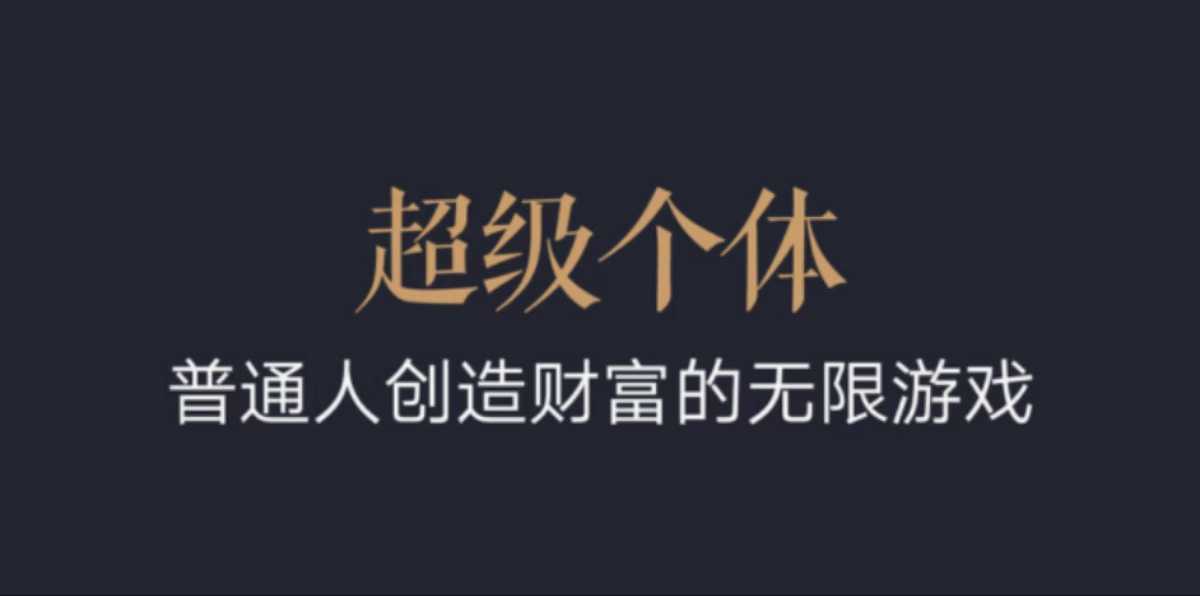 超级个体：2024-2025翻盘指南，普通人创造财富的无限游戏-蓝天项目网