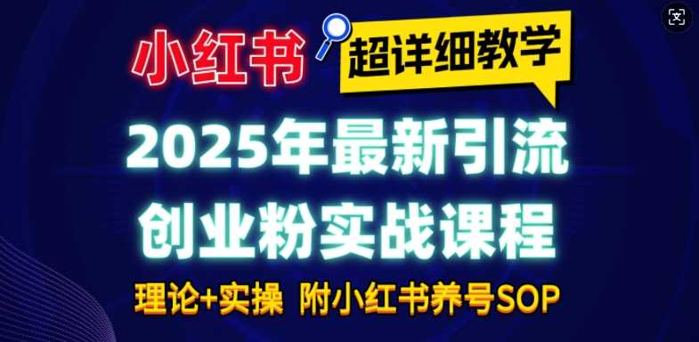 2025年最新小红书引流创业粉实战课程【超详细教学】小白轻松上手，月入1W+，附小红书养号SOP-蓝天项目网