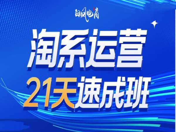 淘系运营21天速成班35期，年前最后一波和2025方向-蓝天项目网