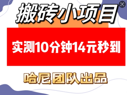 搬砖小项目，实测10分钟14元秒到，每天稳定几张(赠送必看稳定)-蓝天项目网