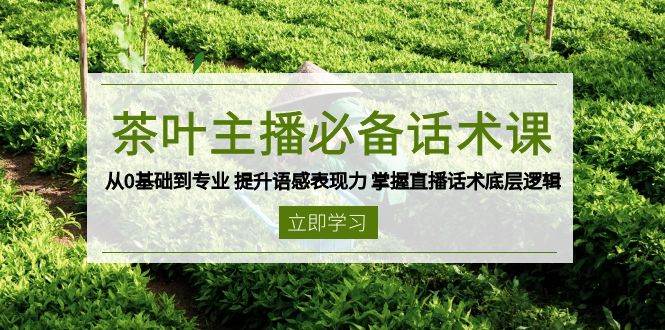 （13961期）茶叶 主播必备话术课 从0基础到专业 提升语感表现力 掌握直播话术底层逻辑-蓝天项目网