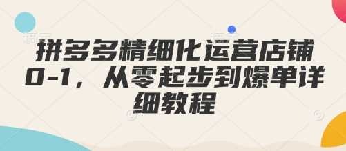 拼多多精细化运营店铺0-1，从零起步到爆单详细教程-蓝天项目网